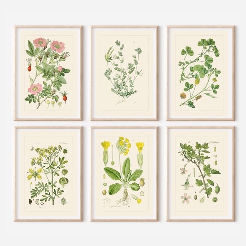 Set antique repro - set, of