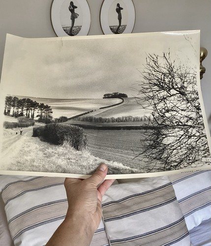 Vintage original large art - vintage,