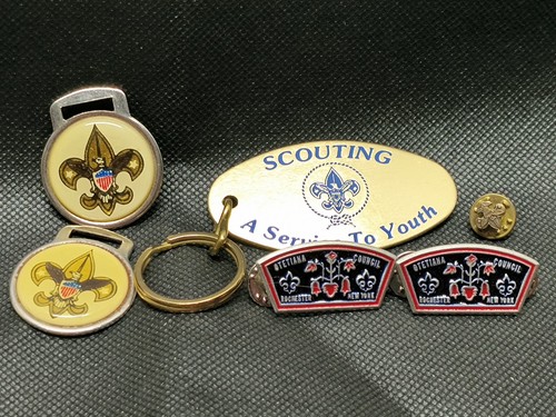 Boy scout lot pins - boy, of