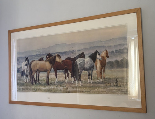 Tunnicliffe pony group - f.,
