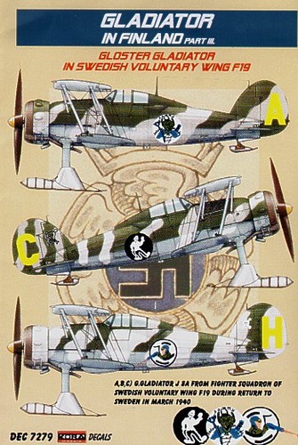 Kora kord7279 gloster - kora,
