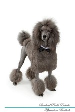 Standard Poodle Affirmations