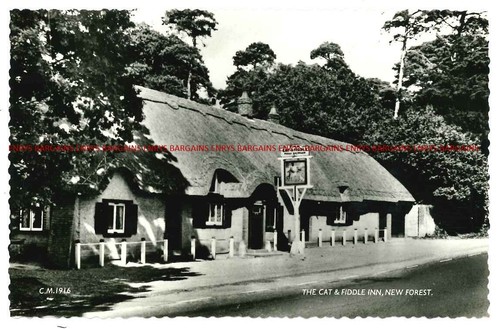 The cat fiddle inn - cat, inn,