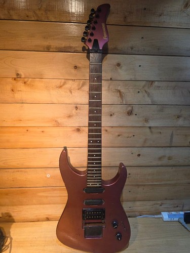 Fernandes 65 - fernandes, fr-65