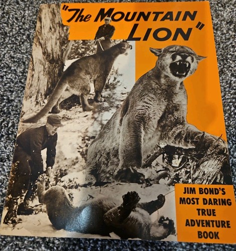 The mountain lion - lion", book