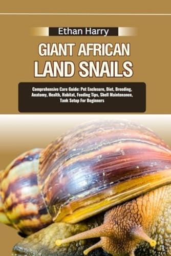 Giant african land - land, snails