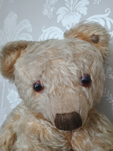 Large antique teddy - antique, 1930