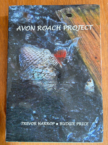The hampshire avon roach - the,