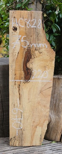 Spalted chestnut live edge - chestnut,