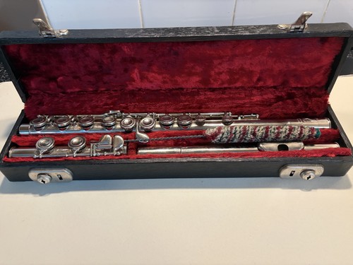 Flute musical instrument - instrument,