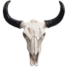 Wall Hanging Animal Skull Cow