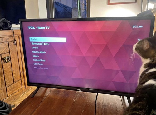 Roku inch - roku,