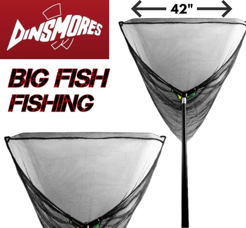 Dinsmores super specimen - 42",