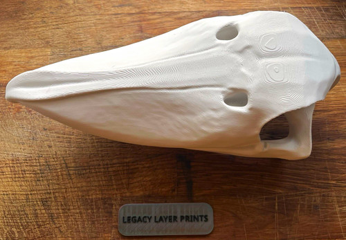 Large shoebill skull replica