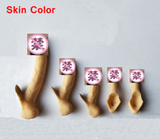 1/6 Scale 5PCS Male Genitals