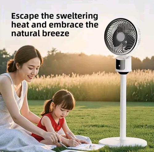 Pedestal fan oscillating 3 - fan,