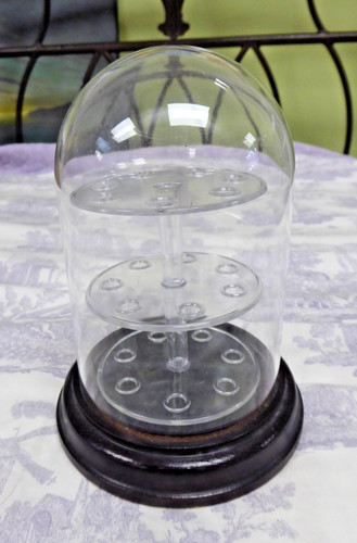 Vintage thimble display - display, dome