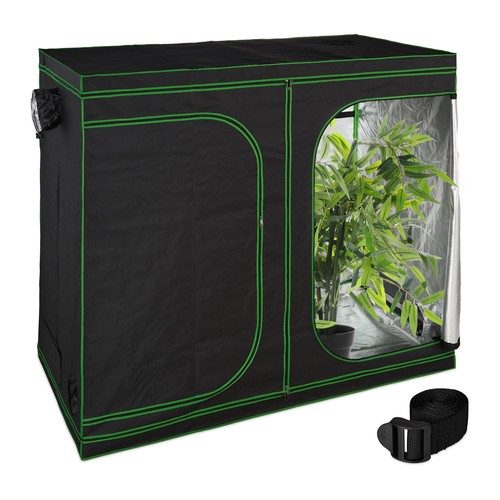 Grow tent plant - tent,