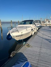 Searay Sundancer 230