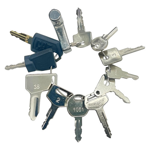12pcs ignition starter - ignition, plant