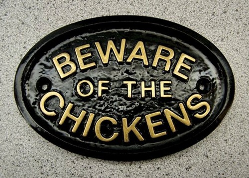 Chickens beware house - beware, door