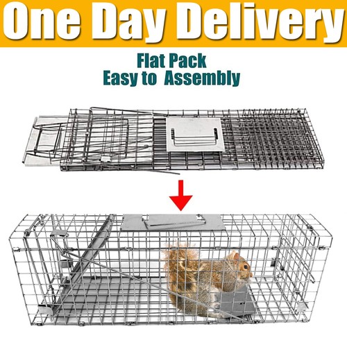 Heavy duty squirrel trap - heavy,