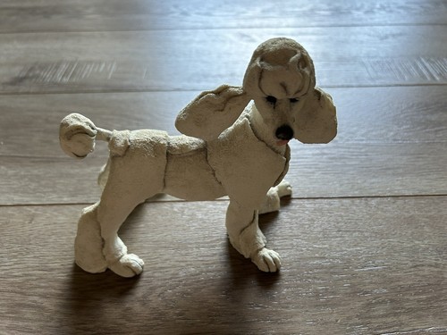 Breed apart poodle - a, dog