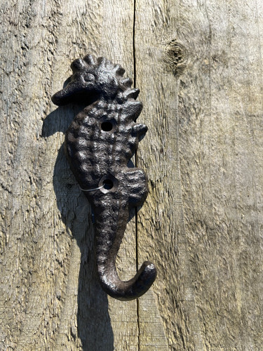 Seahorse wall hook - cast, iron
