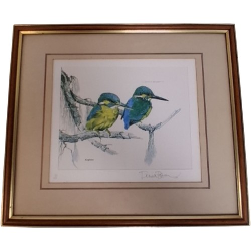 Kingfisher print signed - signed, by