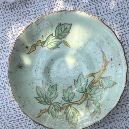 Tuscan bone china plate green - china,
