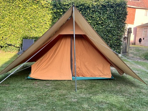 Waard beukenoot - de,