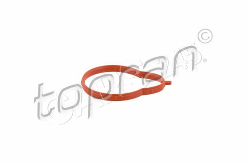 Intake manifold gasket - gasket, lower