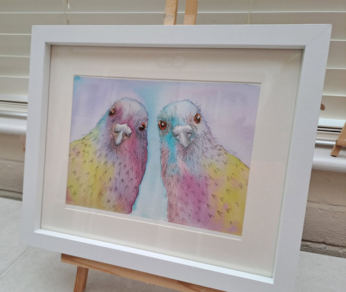 Framed pigeon birds - framed,