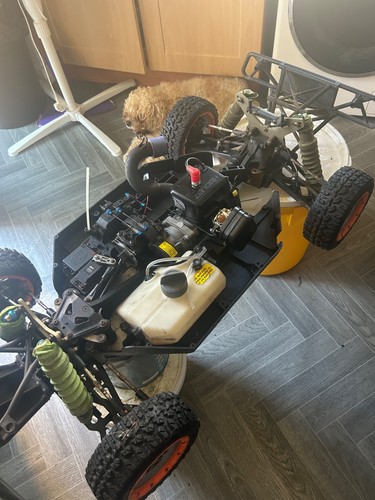 Losi five 5ivet petrol - five,