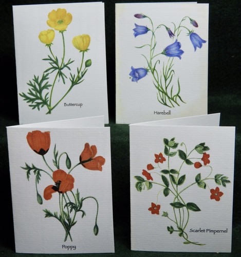 Misterbcards antique wild - misterbcards,