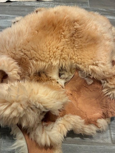 Genuine sheepskin - lb,