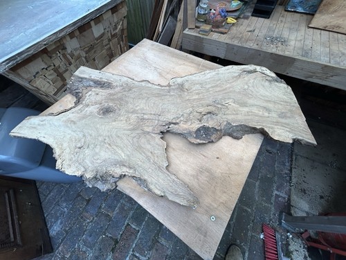 Olive tree slab 900 - olive, x