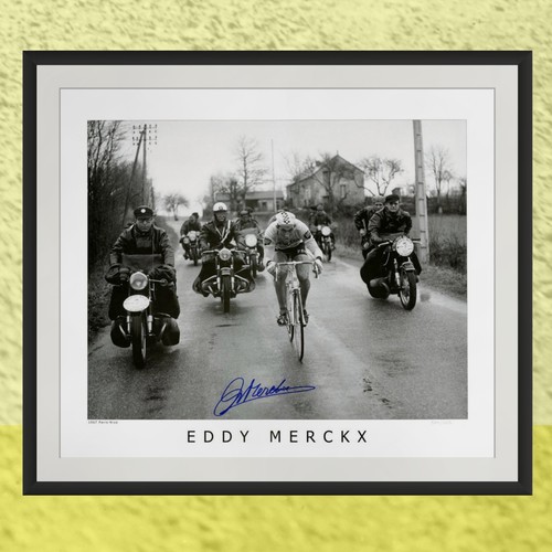 Eddy merckx signed print - eddy,