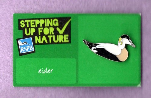 Rspb pin badges the duckpond - rspb,