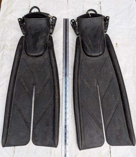 Oceanic vortex split - vortex, fins