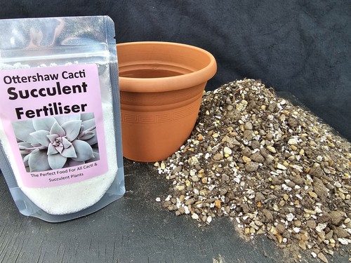 Succulent compost feed - succulent, &