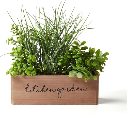Artificial potted plants - potted,