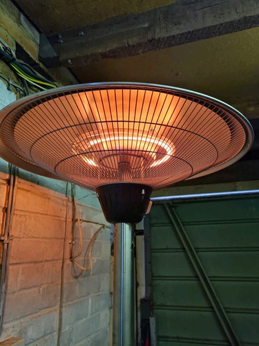 Electric standing mushroom - standing,