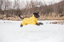 Rukka Pets Dog & Puppy