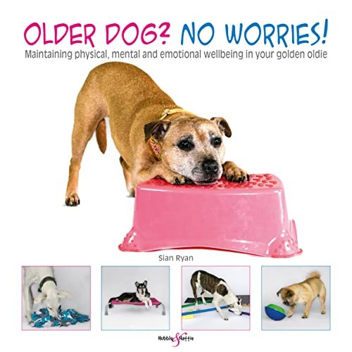 Older dog worries - older,