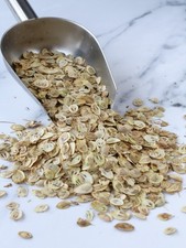 Angelica (Golpar / Hogweed)