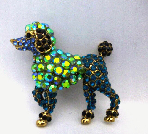 Standard poodle dog - standard,