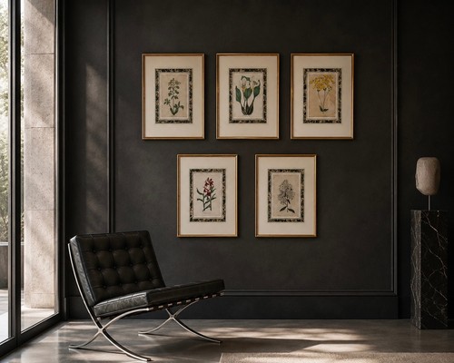 Set antique botanical - set, 5