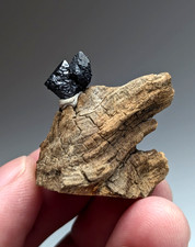 A+ Brookite crystal,  Magnet