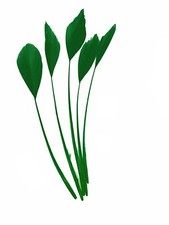 Long fascinators feathers - long,